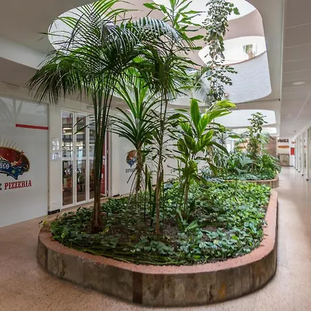 Tinache 103 Maspalomas Appartement *